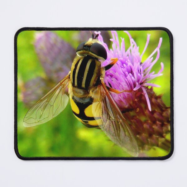 Item preview, Hoverfly on Thistle designed and sold by angel1.