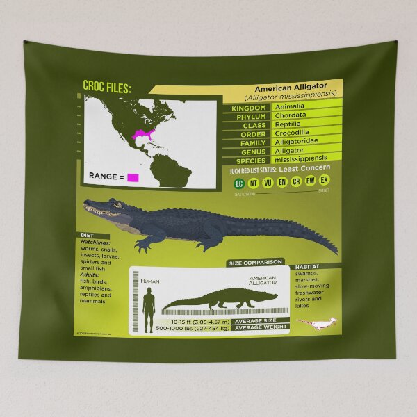 Item preview, Croc Files: American Alligator designed and sold by Peppermint Narwhal.