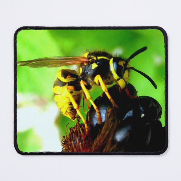 Item preview, Blackberry with wasp designed and sold by angel1.