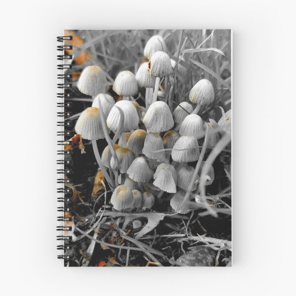 Item preview, Halloween fairy inkcap photo  designed and sold by Demonmushroom.