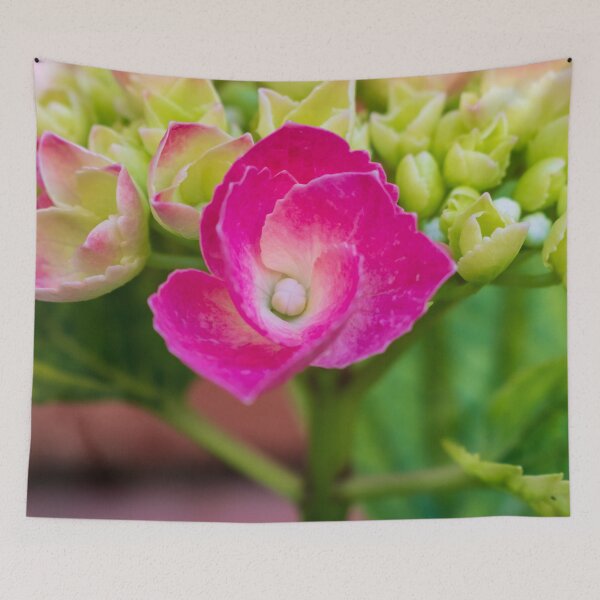 Item preview, Blooming Pink Hortensia designed and sold by AlinaSCorner.