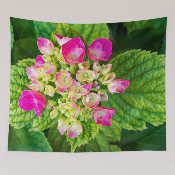 Item preview, Blooming Hortensia designed and sold by AlinaSCorner.