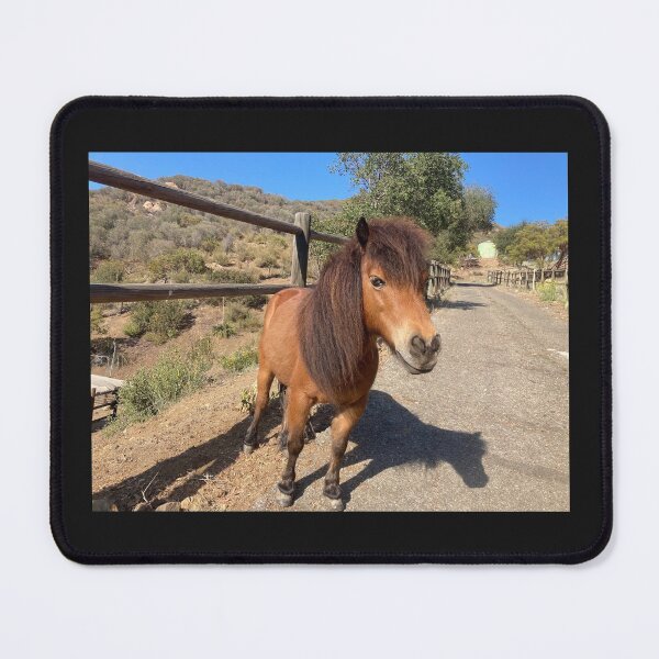 Item preview, Healing Horse Thelma designed and sold by Equipowerment.