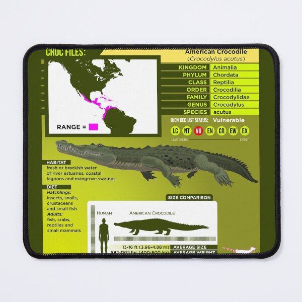 Item preview, Croc Files: American Crocodile designed and sold by Peppermint Narwhal.