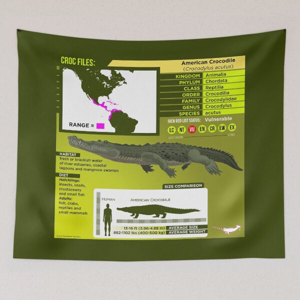 Item preview, Croc Files: American Crocodile designed and sold by Peppermint Narwhal.
