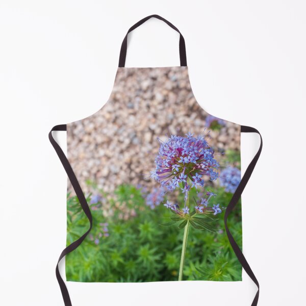 Item preview, Blue Phuopsis Stylosa "Purpurea" designed and sold by AlinaSCorner.