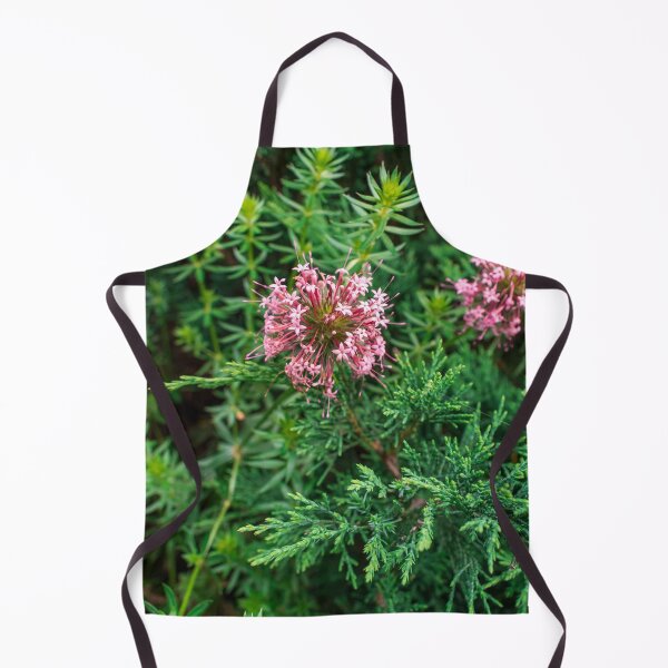 Item preview, Pink Phuopsis Stylosa "Purpurea" designed and sold by AlinaSCorner.