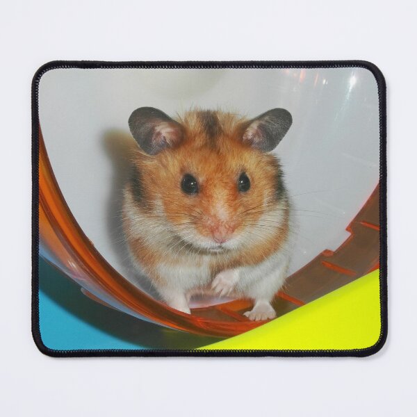 Item preview, Barney,  the Hamster designed and sold by SkatingGirl.