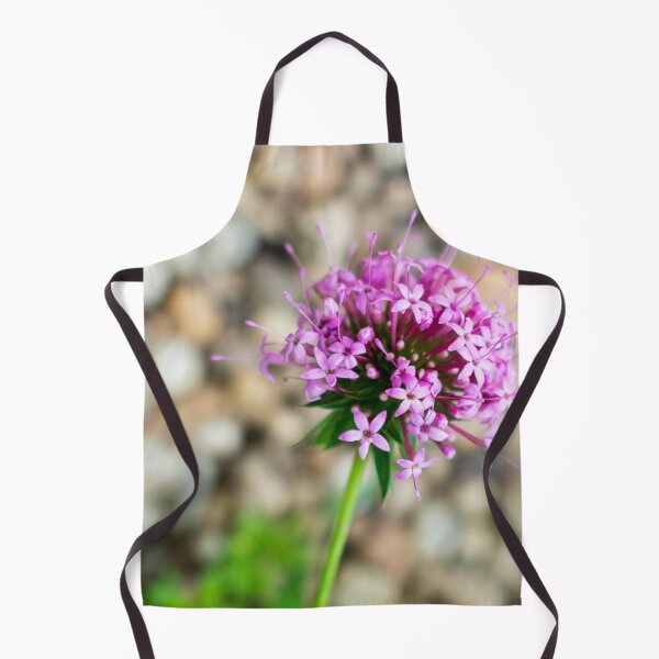 Item preview, Phuopsis Stylosa "Purpurea" designed and sold by AlinaSCorner.