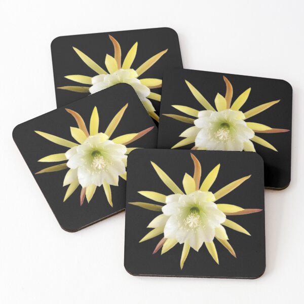 Item preview, Beautiful image of a yellow white Epiphyllum flower designed and sold by Floradigital.