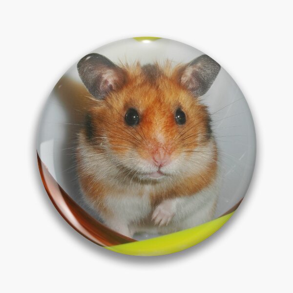Item preview, Syrian Hamster Barney designed and sold by SkatingGirl.