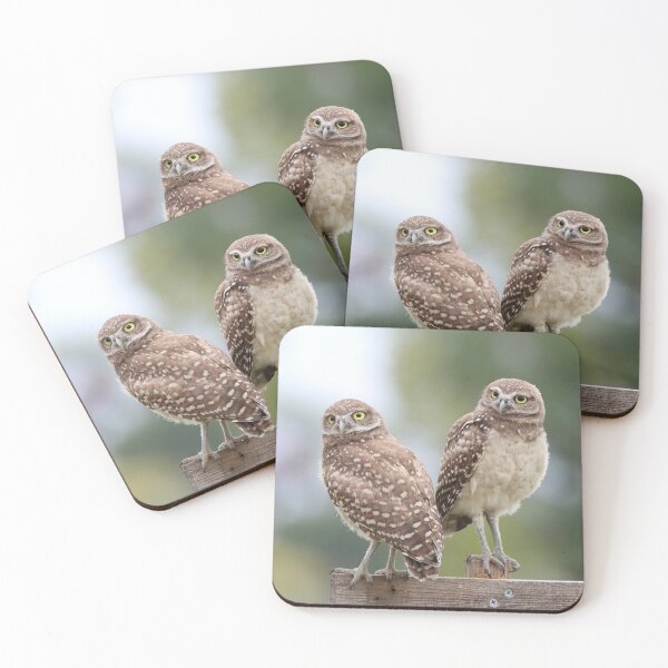 Item preview, Owlets designed and sold by mlorenz.