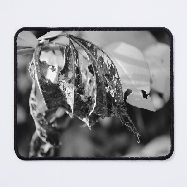 Item preview, Dead but filled with life. designed and sold by Tableaux51.
