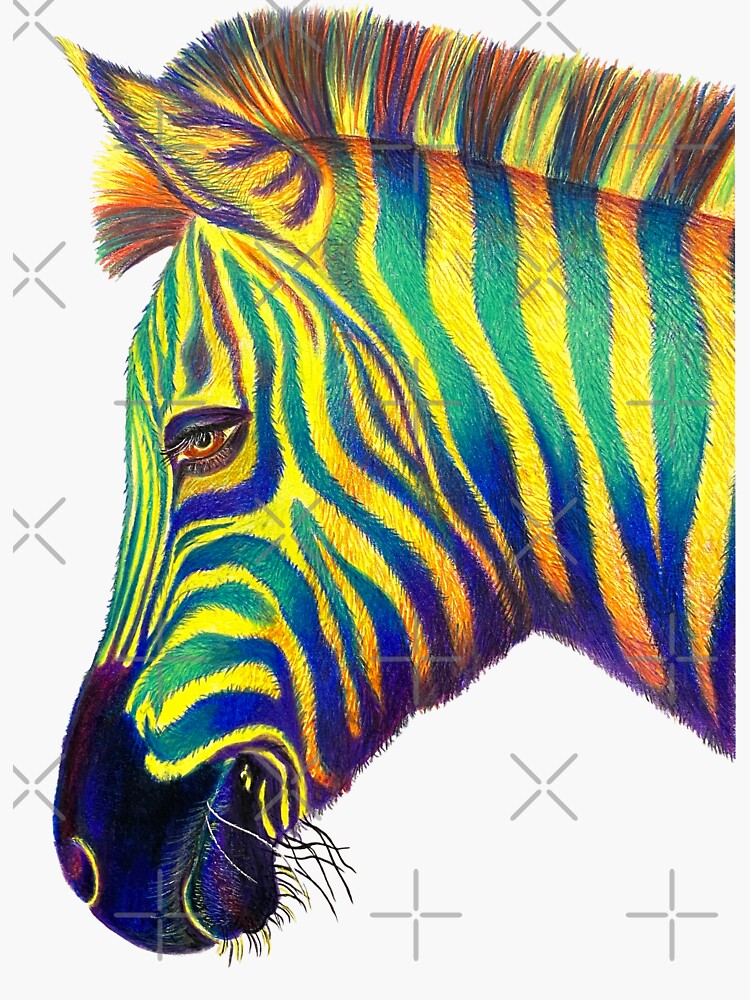 Rainbow Zebra by EllaBoughton