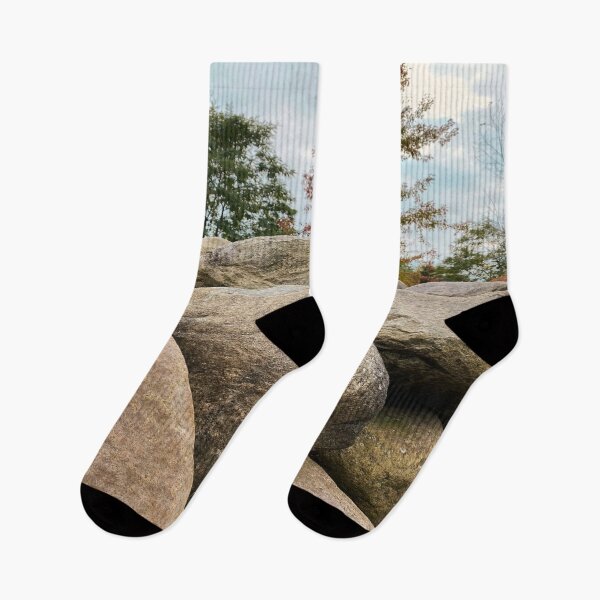 Item preview, Rocks and Fall Trees designed and sold by Views4Days.