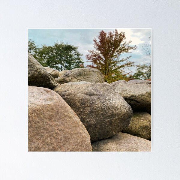 Item preview, Rocks and Fall Trees designed and sold by Views4Days.