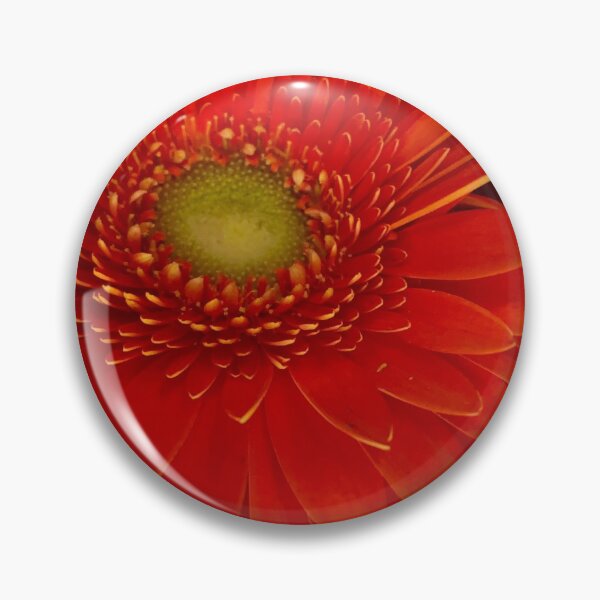 Item preview, Carnations and Rose designed and sold by NearScapes.