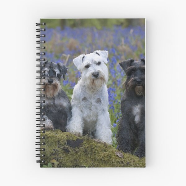 Item preview, Three Miniature Schnauzers, White, Black and Grey designed and sold by ScienceSource.