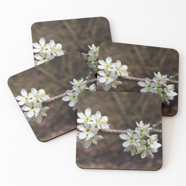 Item preview, Plum Pretty designed and sold by Lens2Canvas.