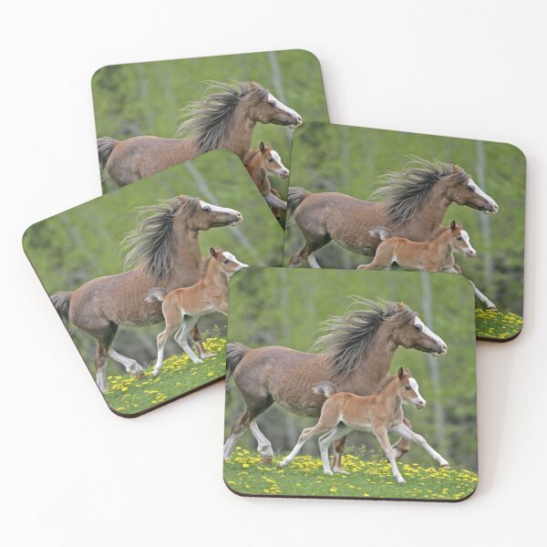 Item preview, Welsh Pony Mare and Foal designed and sold by ScienceSource.