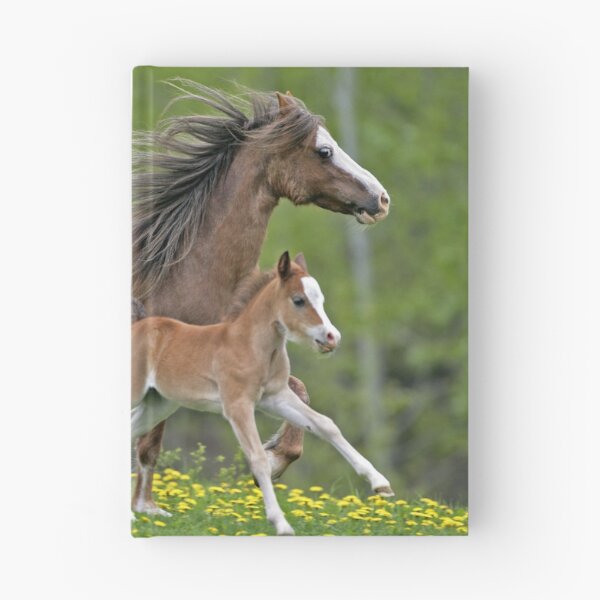 Item preview, Welsh Pony Mare and Foal designed and sold by ScienceSource.