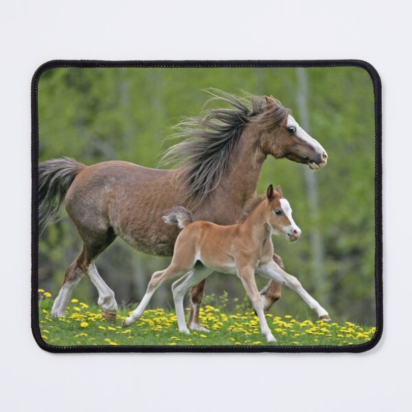 Item preview, Welsh Pony Mare and Foal designed and sold by ScienceSource.