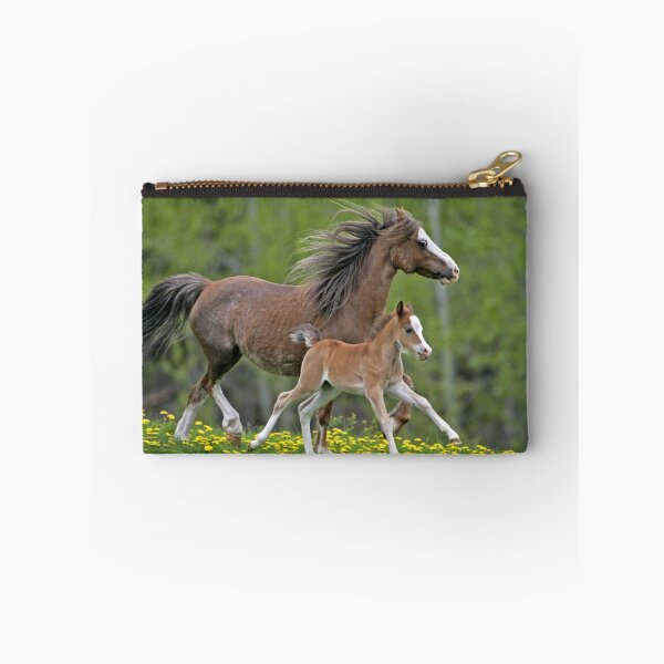 Item preview, Welsh Pony Mare and Foal designed and sold by ScienceSource.