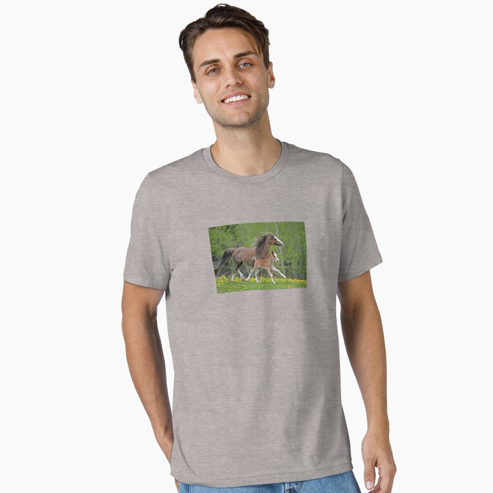 Welsh Pony Mare and Foal Poster