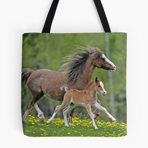 Item preview, Welsh Pony Mare and Foal designed and sold by ScienceSource.