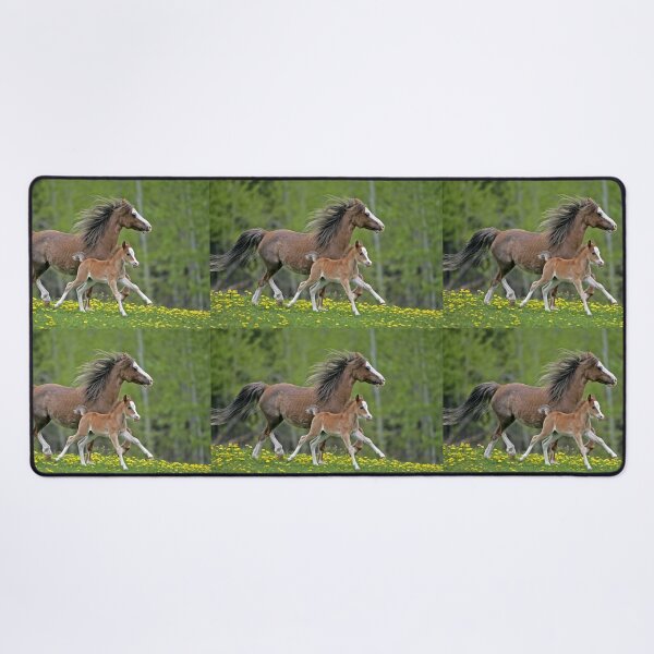 Item preview, Welsh Pony Mare and Foal designed and sold by ScienceSource.