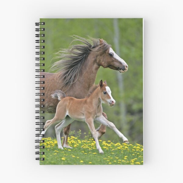 Item preview, Welsh Pony Mare and Foal designed and sold by ScienceSource.