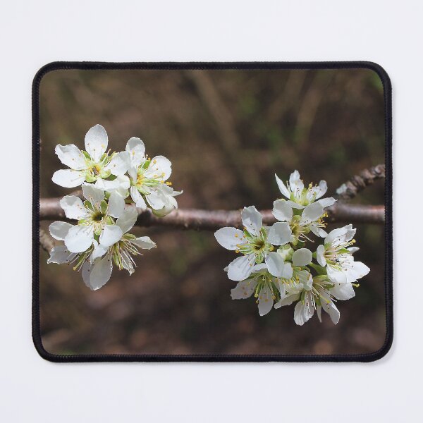 Item preview, Plum Pretty designed and sold by Lens2Canvas.