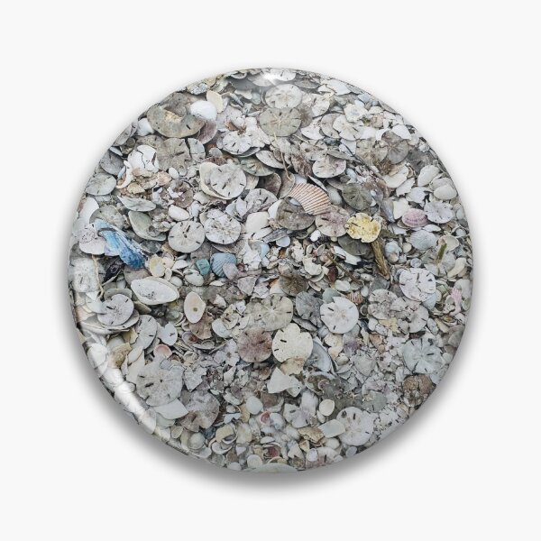Item preview, Sand dollars  designed and sold by VRBeachGirl.