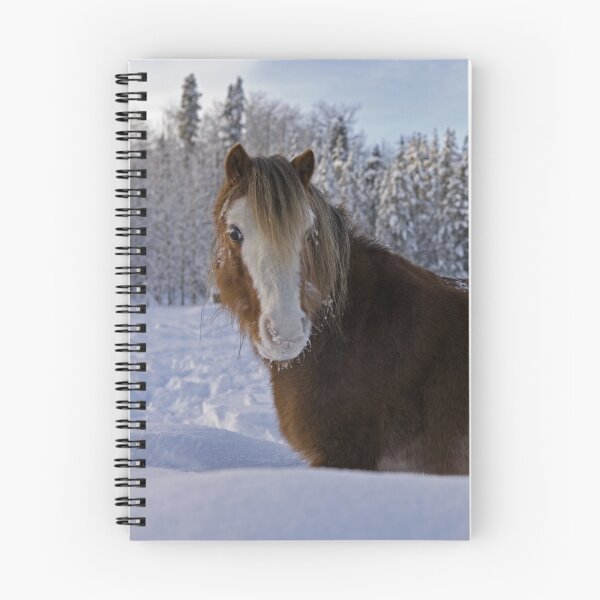 Artikelvorschau, Welsh Pony steht im Schnee entworfen und verkauft von ScienceSource.