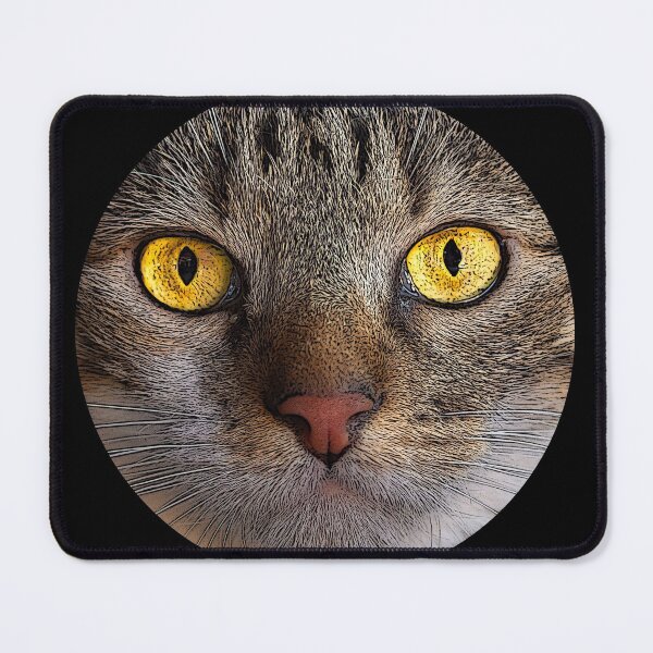 Item preview, cat designed and sold by ricobarinas.