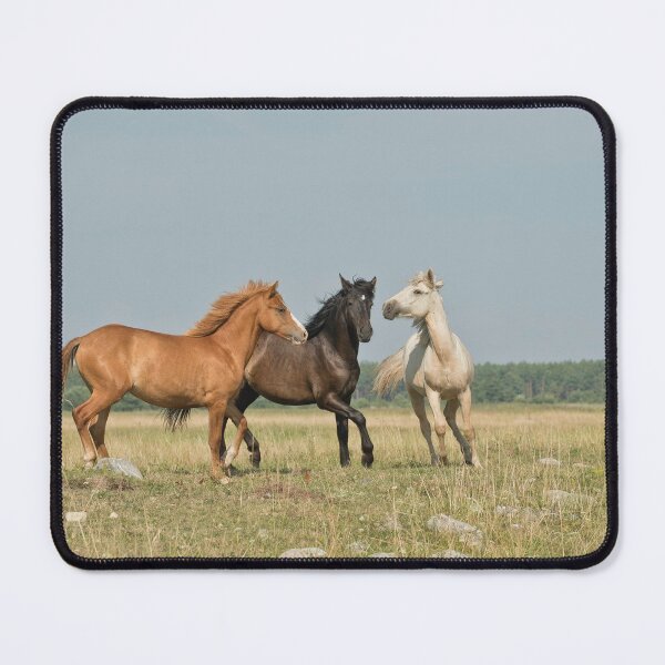 Item preview, Beautiful Wild Horses designed and sold by newburyboutique.