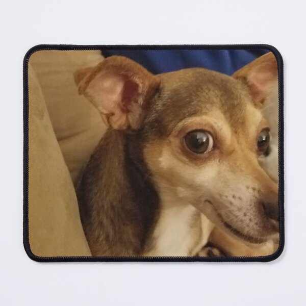 Item preview, there she is, the dog of the hour designed and sold by andnothingmore.