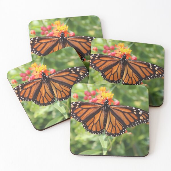 Item preview, Monarch butterfly on a flower designed and sold by coastalcoloring.