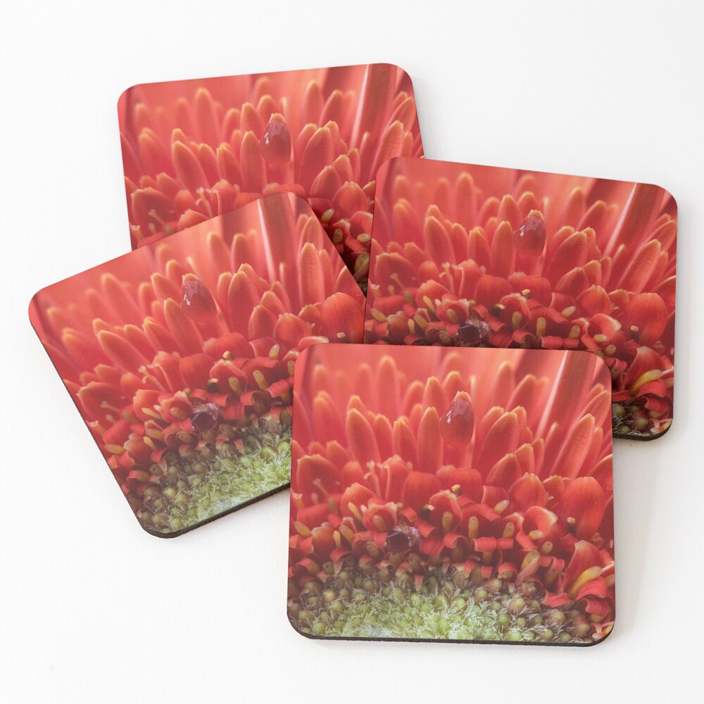 Item preview, Coasters (Set of 4) designed and sold by NearScapes.