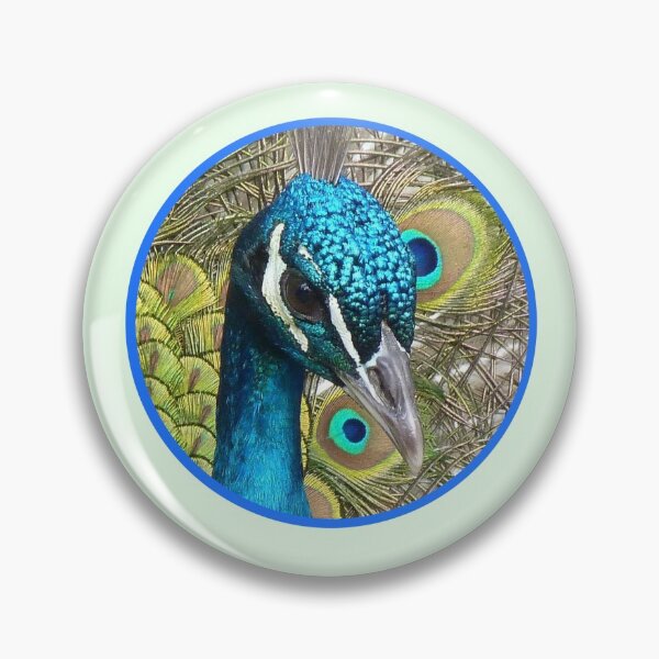 Item preview, Tweets From a Peacock - Pavo Cristatus Party Over Here designed and sold by Spammabelle.