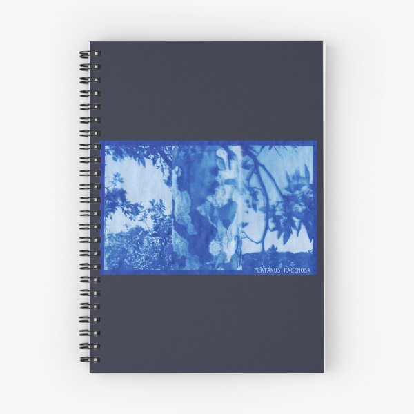 Item preview, Western Sycamore Cyanotype designed and sold by spatiumnatura.
