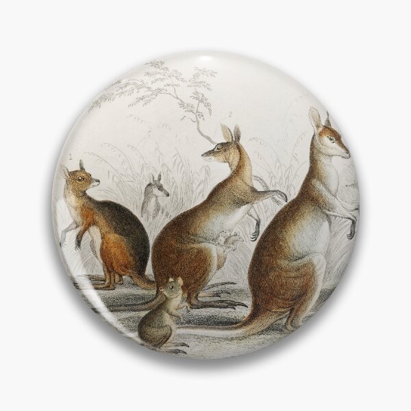 Item preview, Artwork of Kangaroo designed and sold by Spasija.