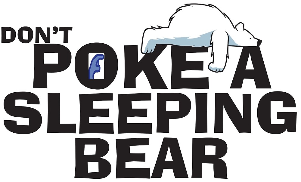 Image result for PICTURES of don't poke a sleeping bear