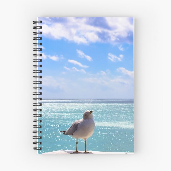 Aperçu de l'œuvre Mouette, Jupiter Floride créée et vendue par jupiterarts.