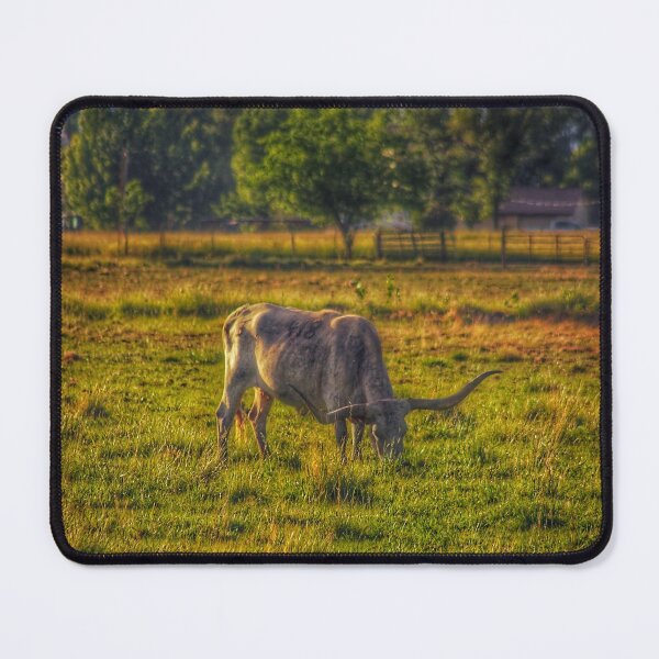 Item preview, Long horn grazing in the field designed and sold by leeannrackleff.