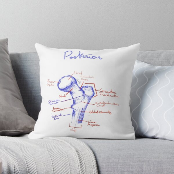 Posterior Pillows & Cushions for Sale