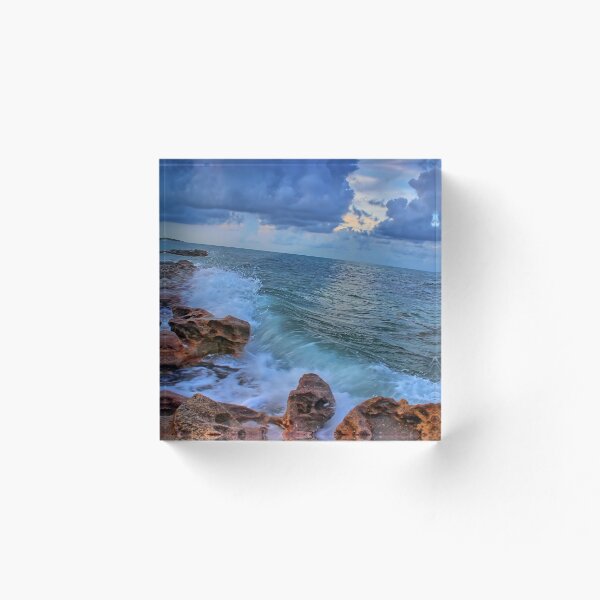 Item preview, Coral Cove - Jupiter Florida designed and sold by jupiterarts.