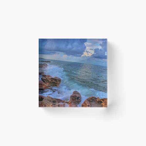 Item preview, Coral Cove - Jupiter Florida designed and sold by jupiterarts.