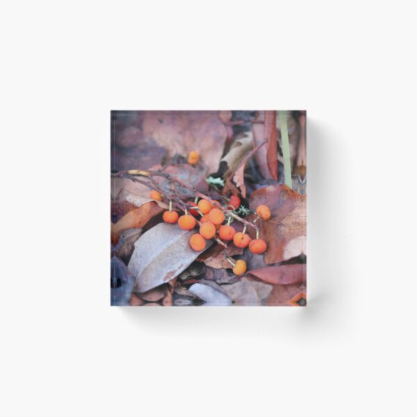 Item preview, Manzanita Berries designed and sold by Emmaline Jones.