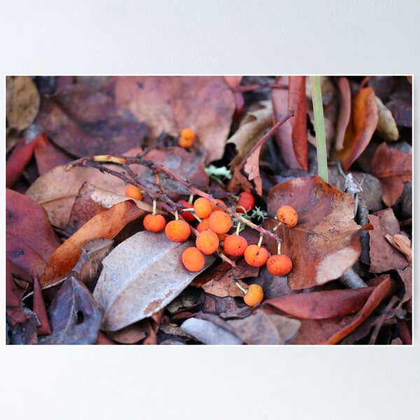 Item preview, Manzanita Berries designed and sold by Emmaline Jones.